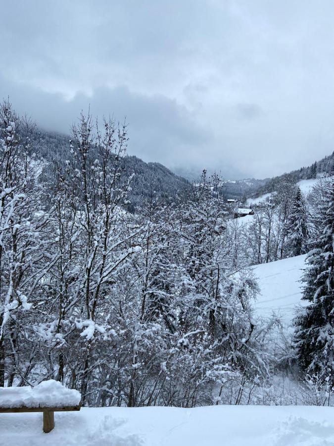 Chalet Soleya Le Grand-Bornand Esterno foto